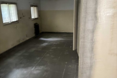 img_0787_optimized